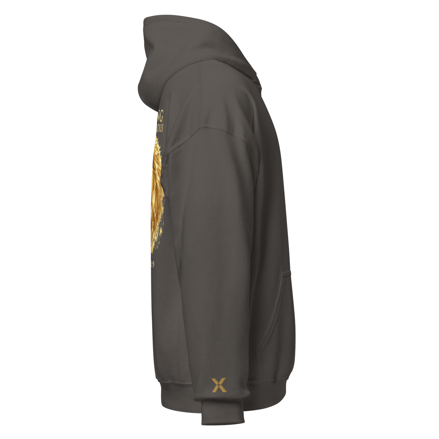 CYNX Unisex Hoodie — Premium Heavy Blend